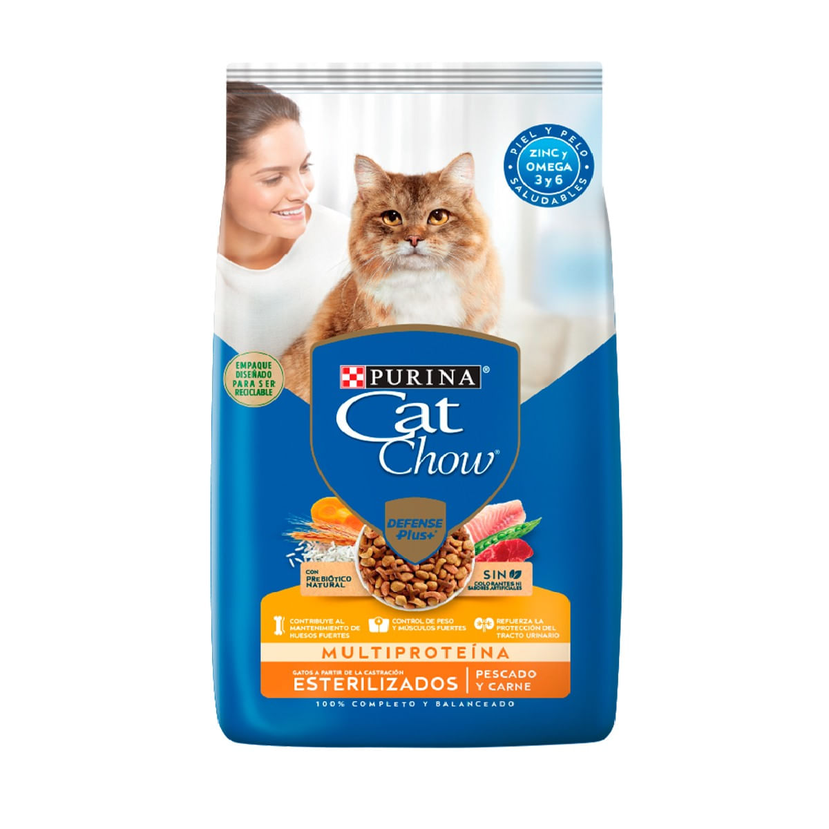 Cat chow 2024 dry food