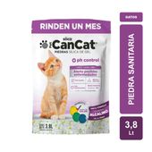 Piedra Sanitaria Silica CanCat Control PH x 3.8lt