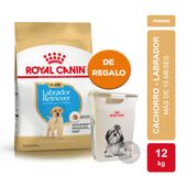 Alimento Royal Canin Perro Puppy Labrador Retriever x 12kg + TACHO GRANDE ROYAL CANIN DE REGALO