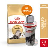 Alimento Royal Canin Gato Persian x 7,5kg + TACHO CON TAPA ROYAL CANIN DE REGALO