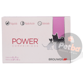 Pulguicida Power Comprimido Gato menor a 4kg -FARMACIA-