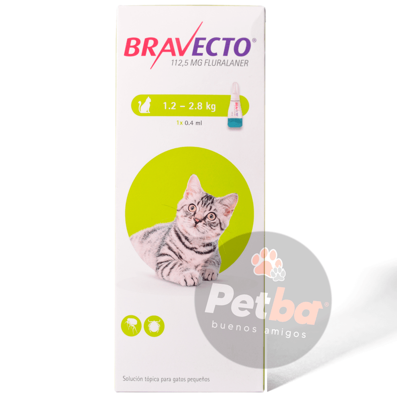 gato1a2