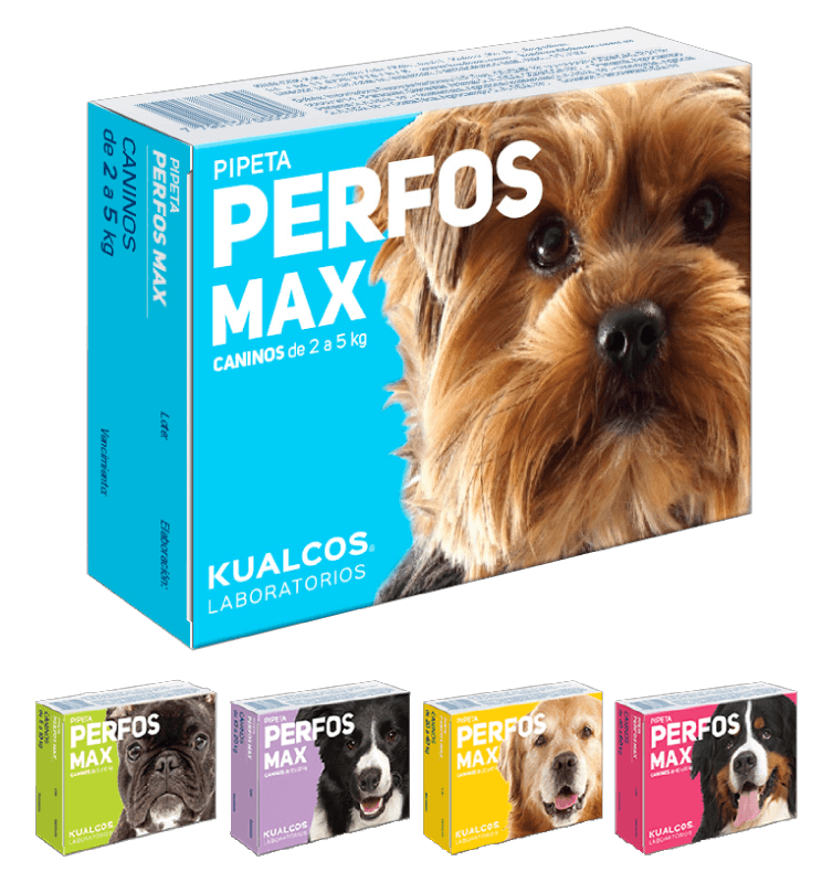 pipeta_perros555