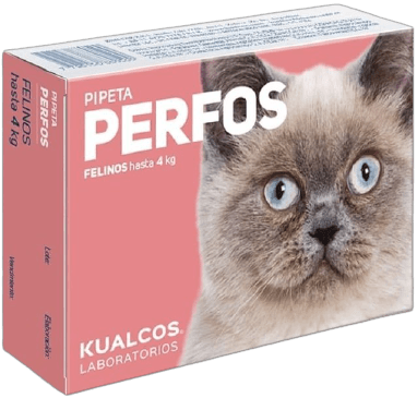 pipeta_perfos_gatos_hasta_4-removebg-preview1-6ef2ebbeaf63a6ea5e16226394689147-640-0xwqqx