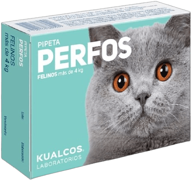 pipeta_perfos_gatos_mas_de_4-removebg-preview1-a7e015f924072c648b16226395165042-640-0fgf