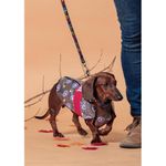 impermeable-ajustable-para-perros-capitan-america-marvel