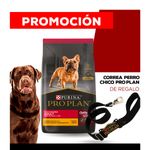 WhatsApp-Image-2024-03-08-at-10.34.22