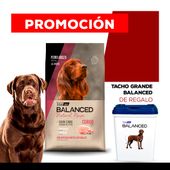 Alimento VitalCan Balanced Natural Recipe Perro Adulto con Cerdo todos los tamaños x 15kg + TACHO GRANDE BALANCED DE REGALO