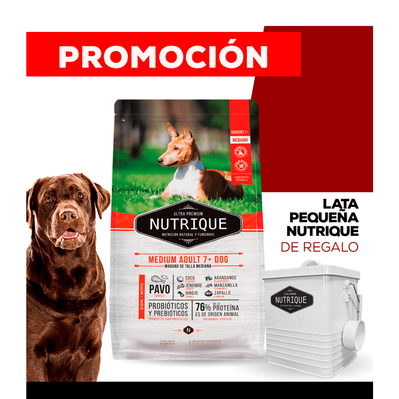 07_WEB_ALIMENTOS_PERRO_1200x1200_Lata-Chica-02