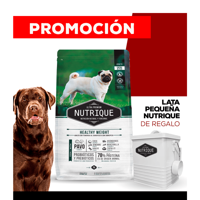 07_WEB_ALIMENTOS_PERRO_1200x1200_Lata-Chica-04