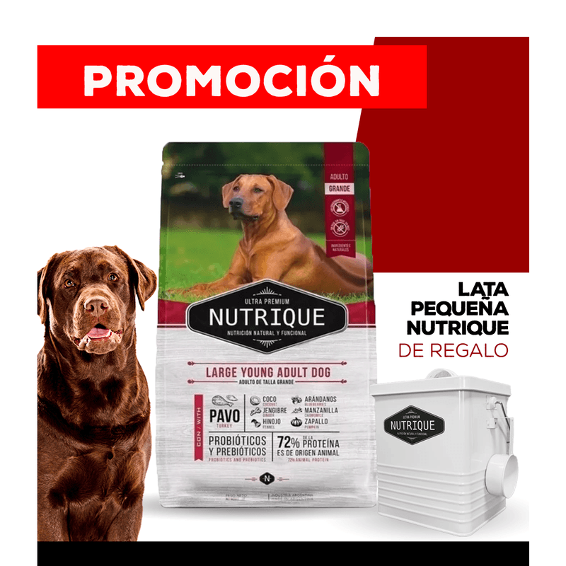 07_WEB_ALIMENTOS_PERRO_1200x1200_Lata-Chica-06