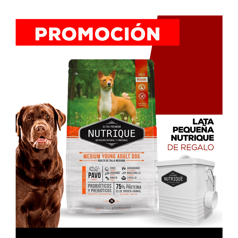 07_WEB_ALIMENTOS_PERRO_1200x1200_Lata-Chica-07