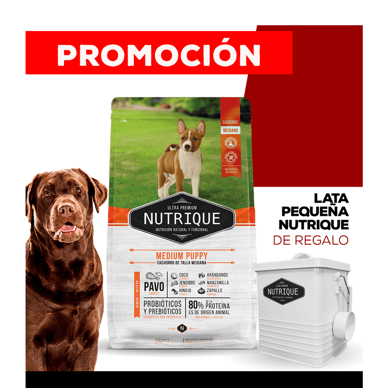 07_WEB_ALIMENTOS_PERRO_1200x1200_Lata-Chica-09