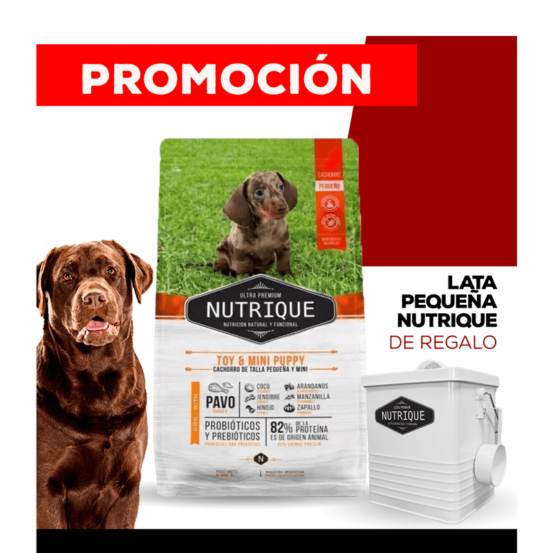 07_WEB_ALIMENTOS_PERRO_1200x1200_Lata-Chica-10