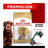 Alimento Royal Canin Perro Adult Yorkshire Terrier x 3kg + JUGUETE SOGA CANCAT DE REGALO
