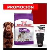 Alimento Royal Canin Perro Adult Giant x 15kg + VASO TÉRMICO PETBA DE REGALO