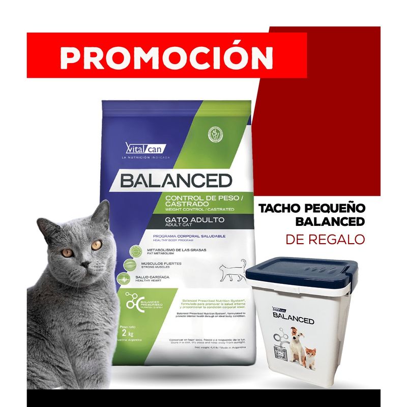 WhatsApp-Image-2024-07-26-at-15.36.08