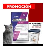 WhatsApp-Image-2024-07-26-at-16.06.11