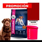 WhatsApp-Image-2024-07-26-at-16.31.04--1-