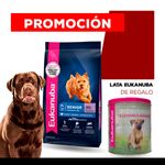 WhatsApp-Image-2024-08-01-at-11.01.40