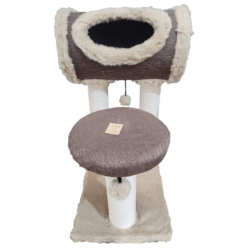 JACK-Y-GUADA-MEOWHT2-copia