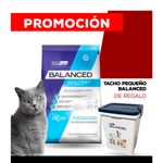 WhatsApp-Image-2024-08-29-at-16.06.22