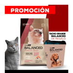 09_WEB_ALIMENTOS_GATO_1200x1200_Tacho-Grande-Balanced-NR-03