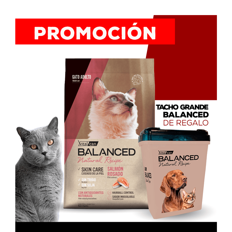 09_WEB_ALIMENTOS_GATO_1200x1200_Tacho-Grande-Balanced-NR-03