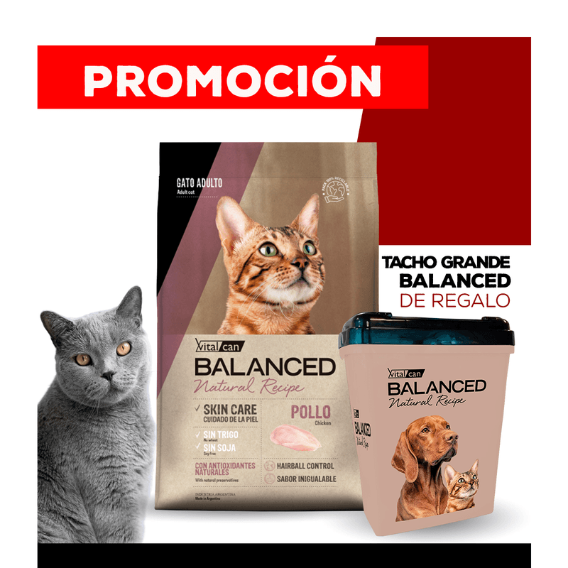09_WEB_ALIMENTOS_GATO_1200x1200_Tacho-Grande-Balanced-NR-02