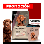 09_WEB_ALIMENTOS_PERRO_1200x1200_Tacho-Grande-Balanced-NR-01