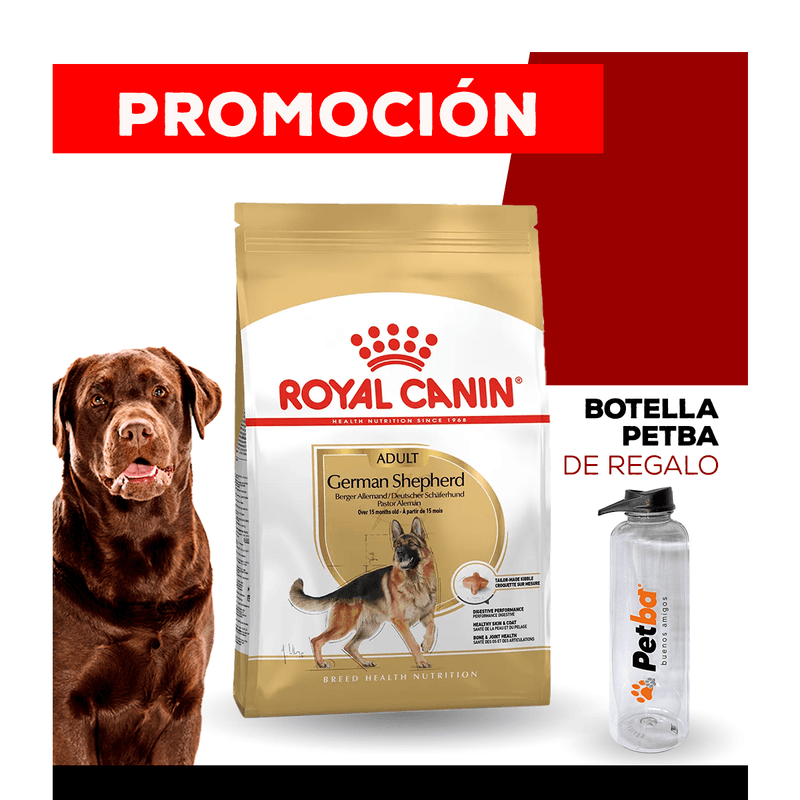 10_WEB_ALIMENTOS_PERRO_1200x1200_Botella-Petba-08