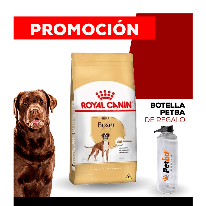 10_WEB_ALIMENTOS_PERRO_1200x1200_Botella-Petba-09