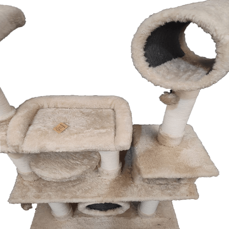 CHATRAN-MAX-2