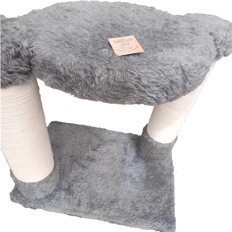 RIGODON-3