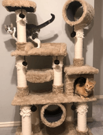 chatran-max-5