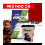 WhatsApp-Image-2024-11-06-at-11.53.32