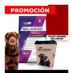 balanced-natural-recipe-perro-cerdo-15KG---MATE-PETBA-DE-REGALO-copia--2-