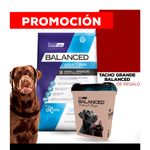 balanced-natural-recipe-perro-cerdo-15KG---MATE-PETBA-DE-REGALO-copia--5-