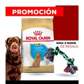 Alimento Royal Canin Perro Puppy Caniche x 3kg + JUGUETE SOGA CANCAT DE REGALO
