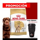 Alimento Royal Canin Perro Adult Caniche x 7,5kg + VASO TÉRMICO PETBA DE REGALO