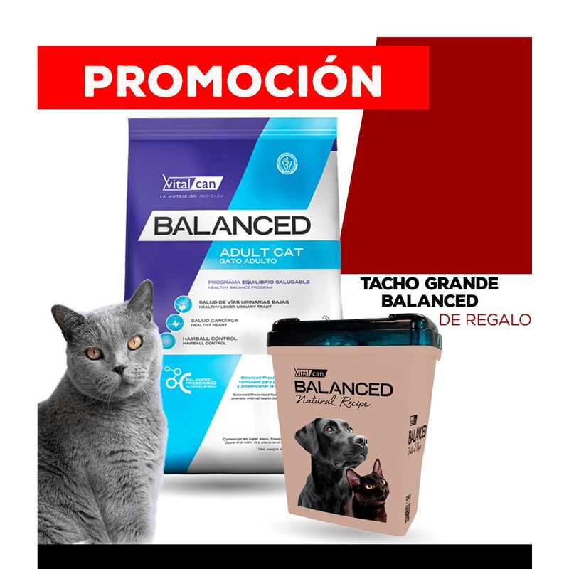 BALANCED-GATO-adulto-15kg---TACHO-BALANCED-DE-REGALO