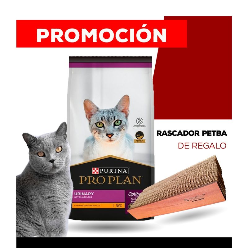 WhatsApp-Image-2024-11-29-at-09.32.59