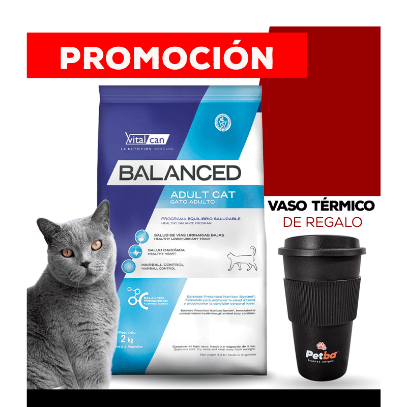 balanced-gato---vaso-petba.png