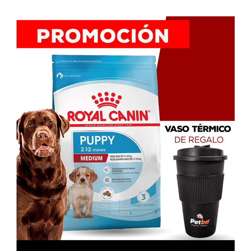 MEDIUM PUPPY + VASO PETBA.png
