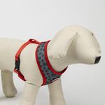 ARNES-PARA-PERROS-MINNIE_5.jpg