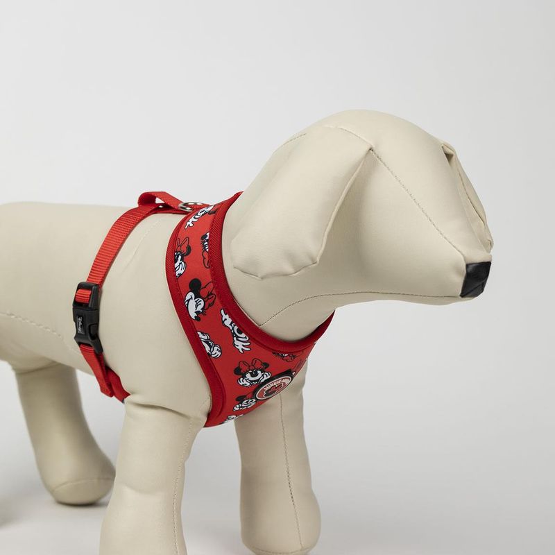 ARNES-PARA-PERROS-MINNIE_4.jpg