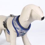 ARNES-PARA-PERROS-PREMIUM-STITCH_4.jpg