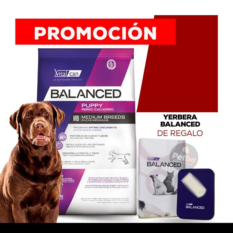 YERBERA BALANCED copia -1-.png