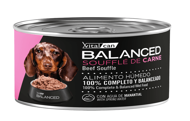 85-Perro-Cachorro-Carne.png