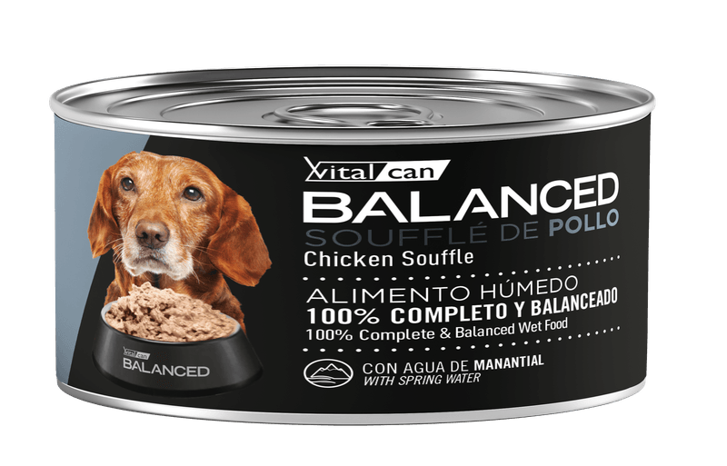 85-Perro-Senior-Pollo.png
